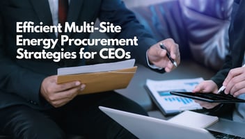 Expert Energy Management Services